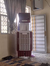 مبرده • نضيفه • النجف