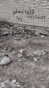 قطعه زراعي • ١٠٠متر • الضباط الثانيه