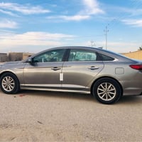 سوناته • ٢٠١٩ • وارد امريكي