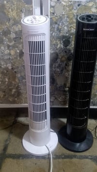 باوربانك • شغاله • للبيع