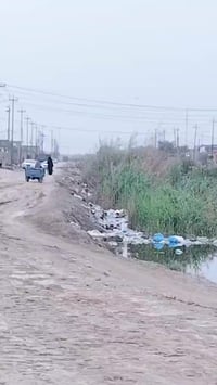 نزلة العزوز • زراعي • ١٥٠م