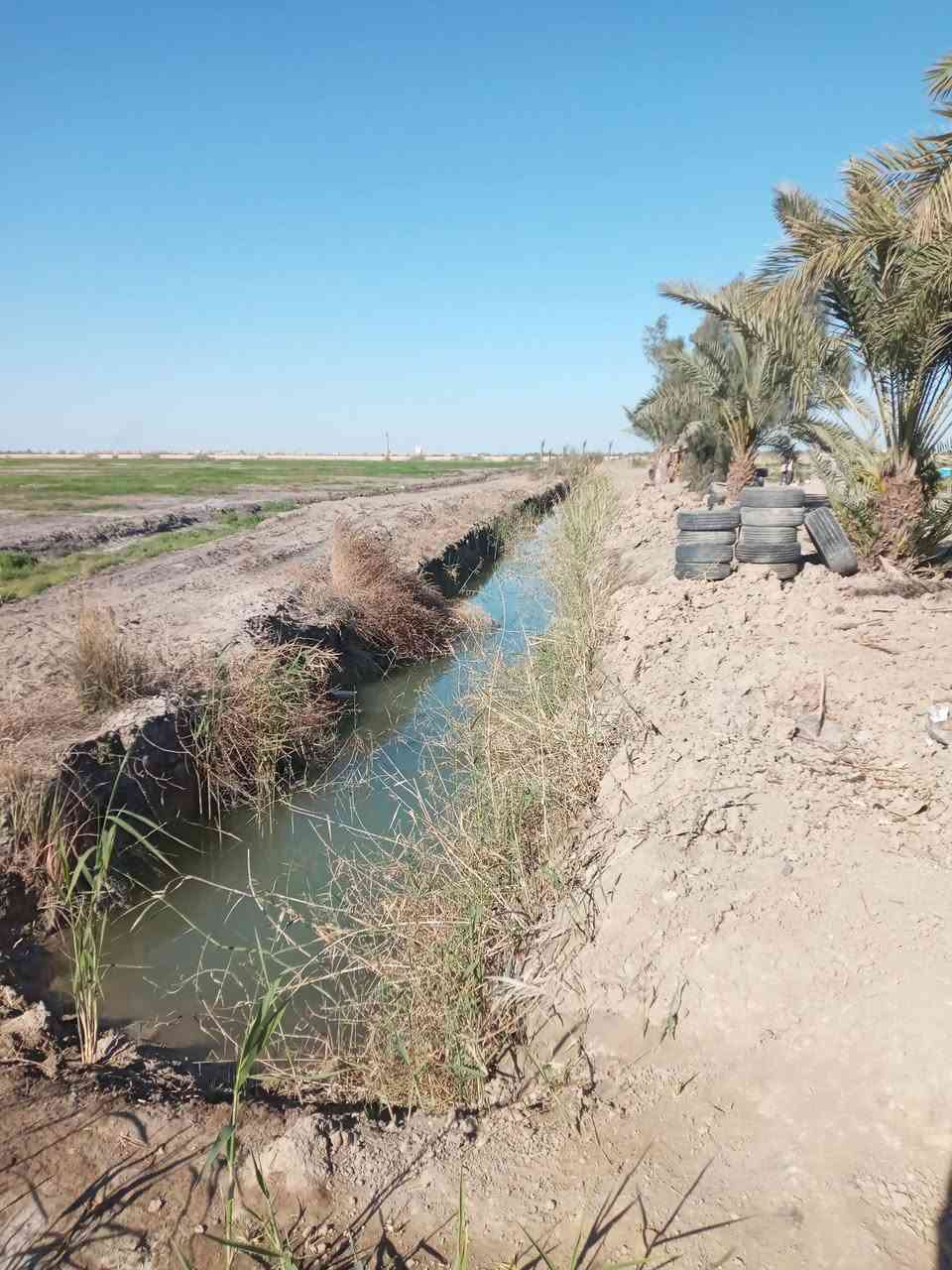 السلام عليكم ٢دونم للبيع مع ٤٦ نخله حماله مع ماطور سقي على ثلاث شوارع  منطقه ام الحلان قريبه إلى الخدمات.السعر الدونم الواحد ٢٥ مع المجال قليل***********
