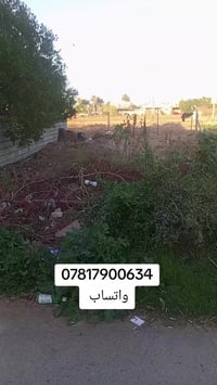 الدورة هور رجب • ٢٠٠م • أرض