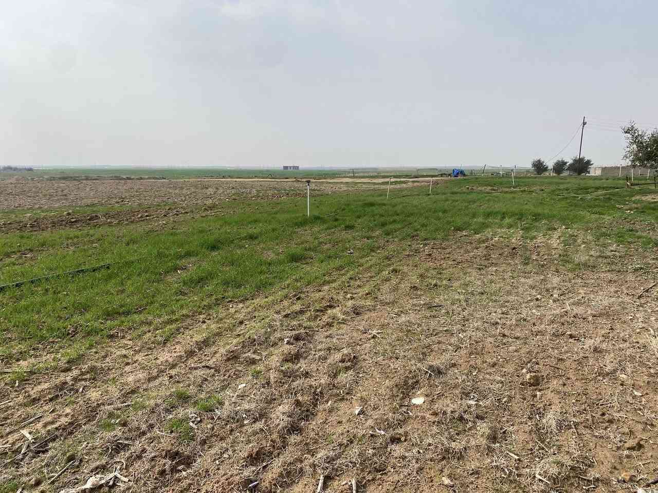 سلام عليكم كاع زراعيه  مساحه ٤ دانم  كهرباء وياها ماي حلو بعد ٥٠ متر شارع  ال سعر ٨  مليون وبي مجال في صلاح الدين رقم تلفون ***********
