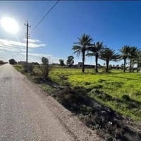 العيساوية جسر رعود • 18دونم • سند 25