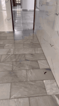 نخلّي أرضيتك تلمع مثل الجديدة ✨
جلي موقعي احترافي
شغل نظيف ✔️ بدون فوضى ✔️ ولمعان يدوم ✔️
الفرق يبان من أول نظرة 👌
تواصلو ويانا 
***********
