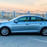 ٢٠١٥ • ضربة ٣ قطع • رقم بصره