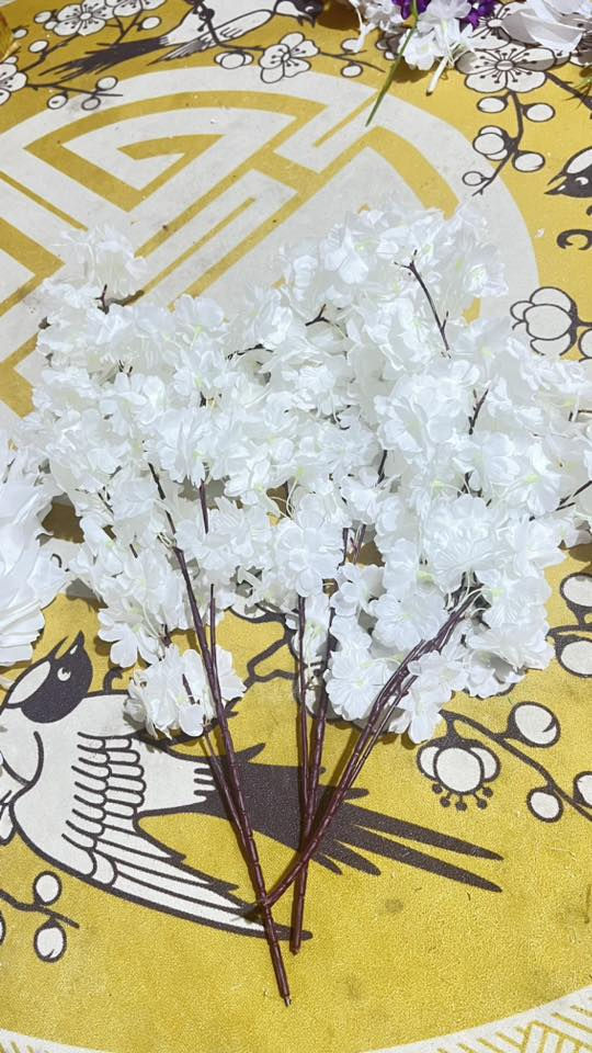 مرحبا هذا الورد للبيع بي مستخدم وبي جديد وبسعر مناسب جداً


**إذا كنت صاحب هذا الإعلان وتريد حذفه لأي سبب، رجاءا أرسل رسالة إلى الدعم الفني**