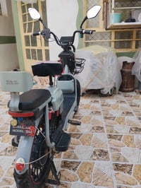 بايسكل شحن • موديل 24 • بطاريات