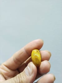 حجر سليماني