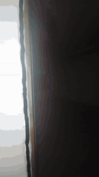 بيت للإيجار • نهاية حي العامل • ٢٥٠م