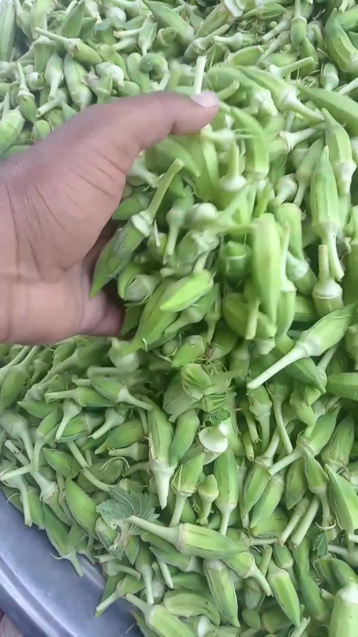 توجد باميا درجة اولى مال تجفيف السعر 1750


**إذا كنت صاحب هذا الإعلان وتريد حذفه لأي سبب، رجاءا أرسل رسالة إلى الدعم الفني**