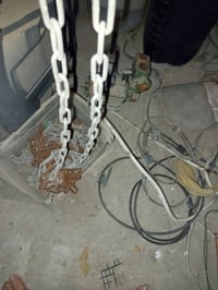 زنجبيل • ٢٠متر • جودة