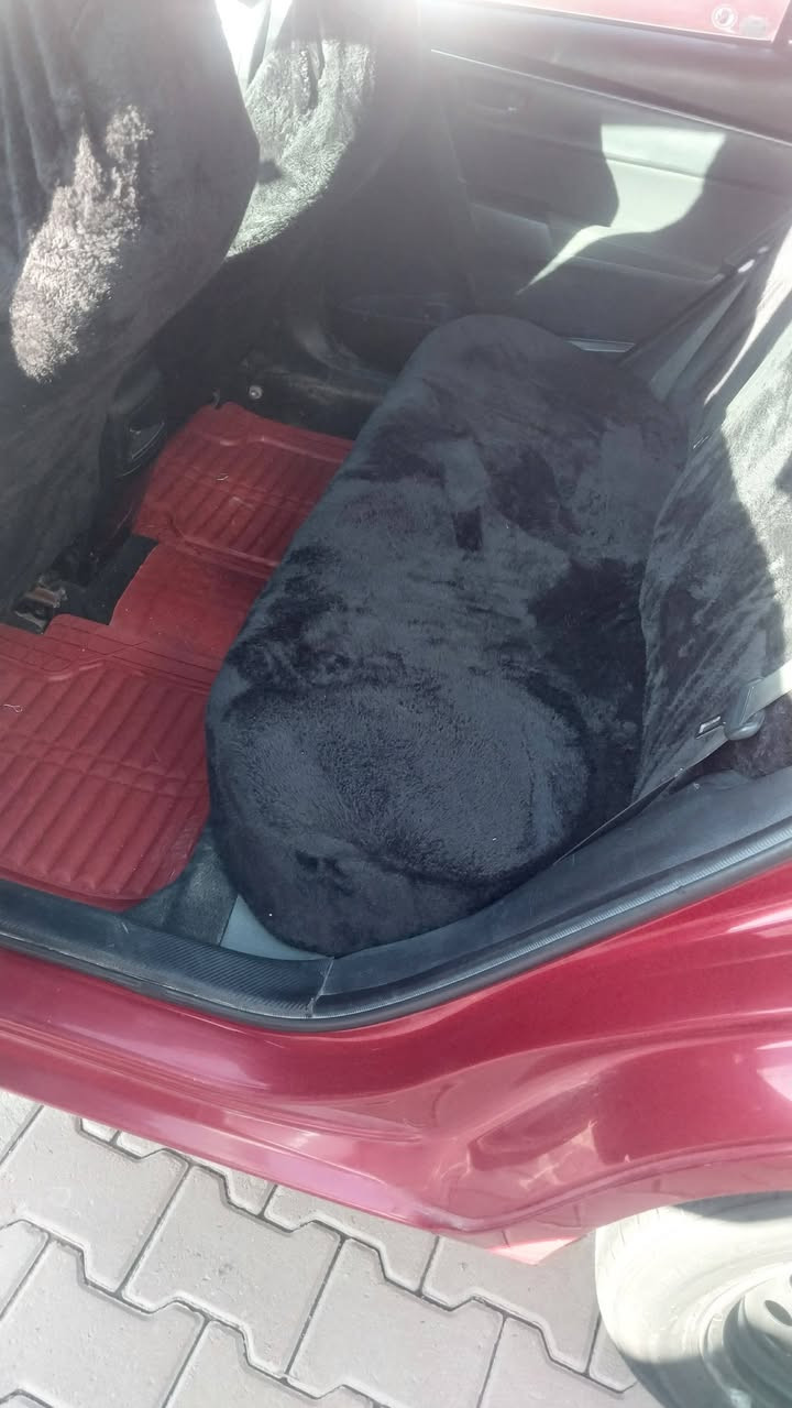 كورلا 2019 اربيل الدولي سنوية مجدده ميكانيك جديد صدر جديد تبريد تدفئة كهربائيات كلها شغاله وجاهزة من كلشي مدوشمة ارضية وكشنات صبغ بنيد وجاملوغ سعر ١٣٨
#العنوان_ديالى_بعقوبة
#تحويل_مباشر 
***********
