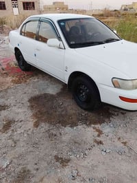 كورلا • ١٩٩٤ • كوت واسط