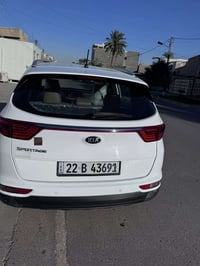 سبورتج • ٢٠١٧ • كشنات جلد