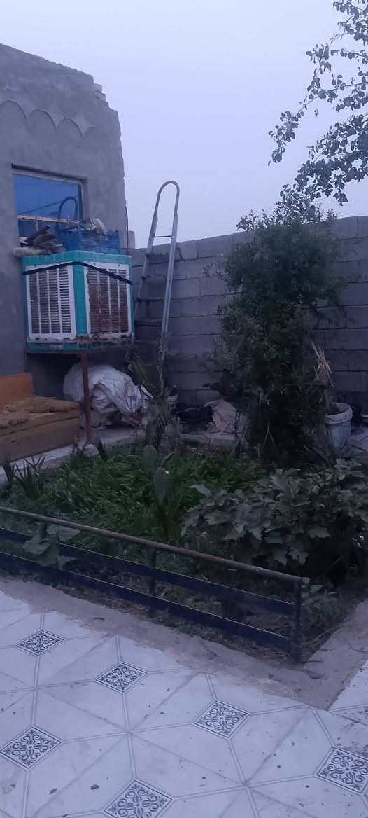 بيت زراعي للبيع صوب ابو غنم مساحه 350 متر سقف سندويج كاعيه سيراميك سعرهه 33 مليون مكلف بلنشر اتصال ***********
