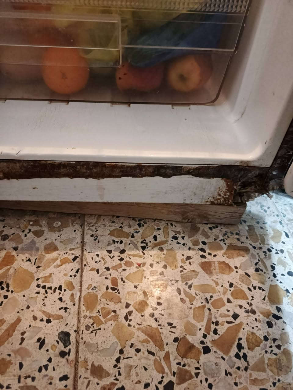 ثلاجه فول تجميد سعرها 125مستعجله ع بيعتها


**إذا كنت صاحب هذا الإعلان وتريد حذفه لأي سبب، رجاءا أرسل رسالة إلى الدعم الفني**