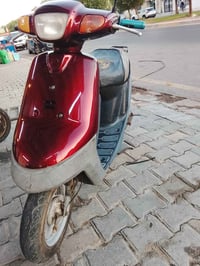بطة • معدلة • شلعة