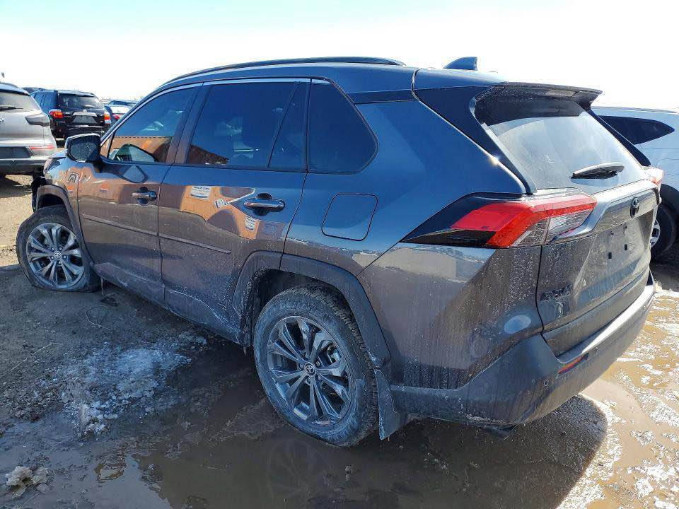 تؤيؤتا RAV4 HEV 2025 رةنگي نةوتي تازة كرااوة دايدةنيين فرؤشتني خيراا لة امريكا سةيارةكة مواصفات XLE فول فولة 40,000 رؤيشتووة  وةكو بؤياغيش سةيارةكة بي بؤياغ و بي سارد و بي ئيرباگ ديتةوة  تةنها دةعامي شكاوة سعري 215  واصل كوردستان سةيارةكة دةچيتةوة ميرسين لة ماوةي 45-50 رؤژ لة هـةوليرة 

بؤ زانياري زياتر :
0750 485 8947 أربيل, العراق
