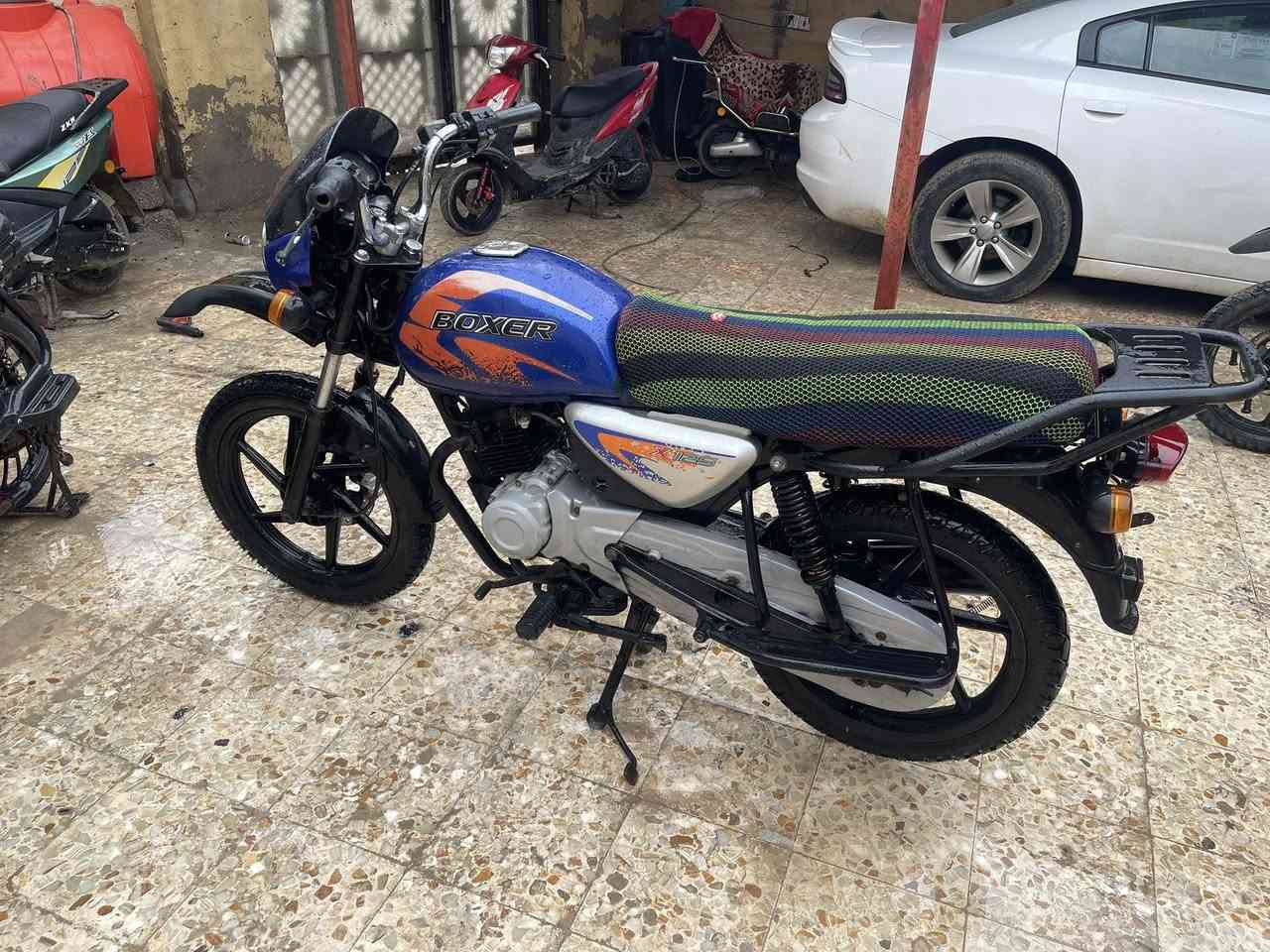 بوكسر فحل موديل 2023 ادوات سعر 950 وبيه مجال مكاني بصره رقمي ***********
