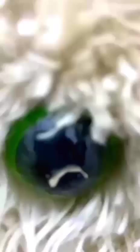 سلام عليكم درجه لبيع سكنر نضيفه كلش مافتوحه بس تفيلس درجه شوفت عينك هاذه رقمي *********** كله سته وعشرين
