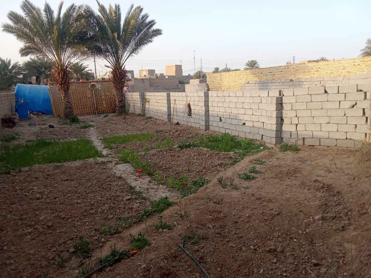 قطعه للبيع المساحه 300 حاوي العباس متوفره كافه الخدمات قرب بيت ابوطارق ***********
