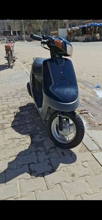 بطة • ٢٠٠٣ • مكفوله