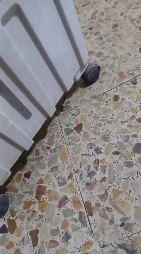 غرفه تركيه كامله مستعمله والباب طايح موجود الباب مبرده زغير قاطع خشب جربايه اطفال جديد كلمن وسعره


**إذا كنت صاحب هذا الإعلان وتريد حذفه لأي سبب، رجاءا أرسل رسالة إلى الدعم الفني**