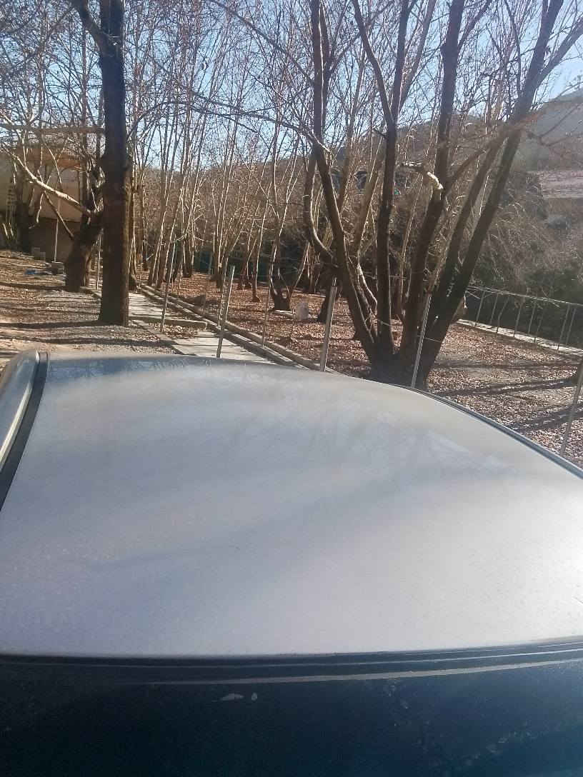 ئاڤانتی بڕاوە  2006  مەکینە بچوک دکشن بەرز  کامل پەمپ لەسەر ساخی بۆیاخی کەنەدی  تەبرید لەمس ئاوێنەشەفت و کارەبا حاسە ڤۆلیۆم فولی بئ سڵاید جڵدو هیتەر  پئشوپشت کەپس  گێڕومەکینە تەقەوڕەقە بەشەرت تەبرید ساردوگەرم بەشەرت کەڤەر گۆڕاو بەشەرت  کامل مەسروف کراوە  ناونیشان ڕانیە  *********** رانية, السليمانية
