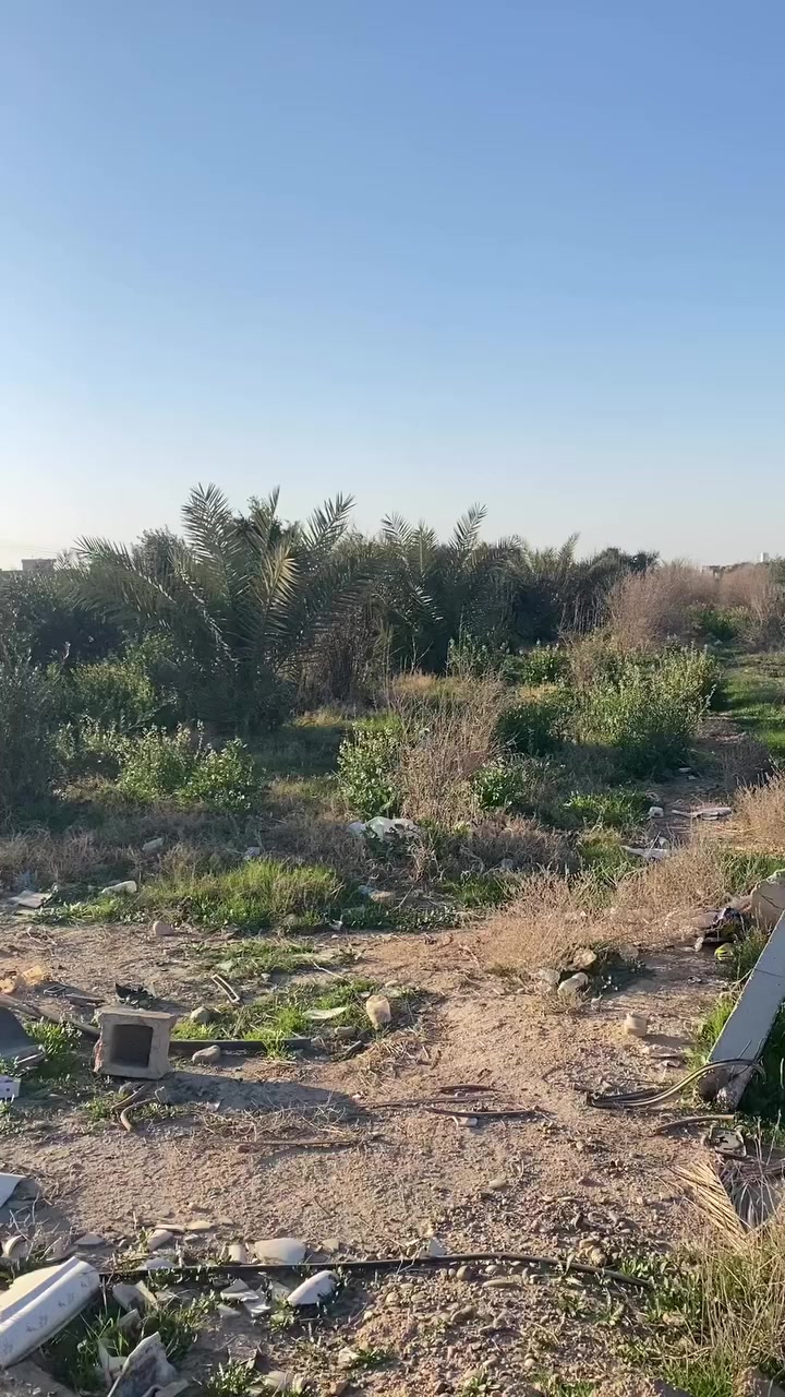 السلام عليكم قطع ارض للبيع
زراعي مجاور جامعه النبراس 
متوفر قطع ١٠٠٠ متر و ٥٠٠ متر 
طبعاً الارض مزرعه يعني إذا تحب 
تبقيها هيه متوفر بيها أشجار زيتون
ونخيل كافه الأنواع 
البيع امتار سعر المتر الواحد ٢٧الف دينار 
قابل للتفاوض للراغبين بالشراء 
الاتصال ع الرقم ***********
او زياره مكتبنا شارع العلم الرئيسي 
مجاور مكتبه فاروق مكتب تكريت للعقار
