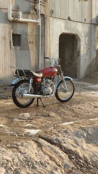 دراجه نضيفه • اسود اصلي • اوراق سكنر