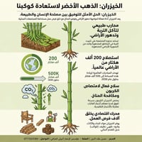 🌿 الخيزران: الذهب الأخضر لاستعادة كوكبنا 🌿 لأننا نؤمن بأن حماية الأرض ...