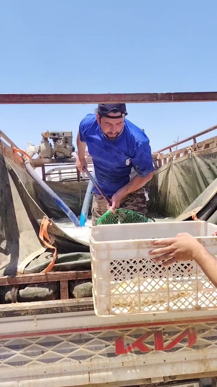 سمج جوه البلاش اليوم 🐟


**إذا كنت صاحب هذا الإعلان وتريد حذفه لأي سبب، رجاءا أرسل رسالة إلى الدعم الفني**
