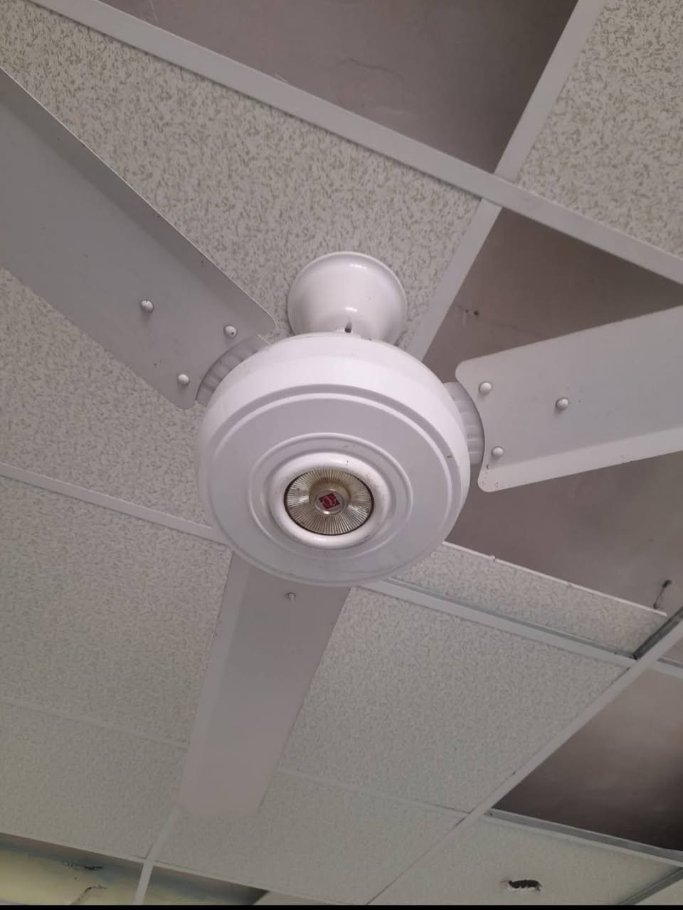 مروحة سقفية عدد ٢ واحد حجم صغير للبيع


**إذا كنت صاحب هذا الإعلان وتريد حذفه لأي سبب، رجاءا أرسل رسالة إلى الدعم الفني**