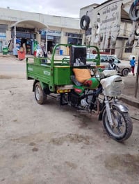 شايننج • ١٥٠ • ٢٠٢٢