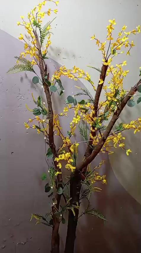 شجره جنن الجذع طبيعي للبيع هستوني سويته


**إذا كنت صاحب هذا الإعلان وتريد حذفه لأي سبب، رجاءا أرسل رسالة إلى الدعم الفني**