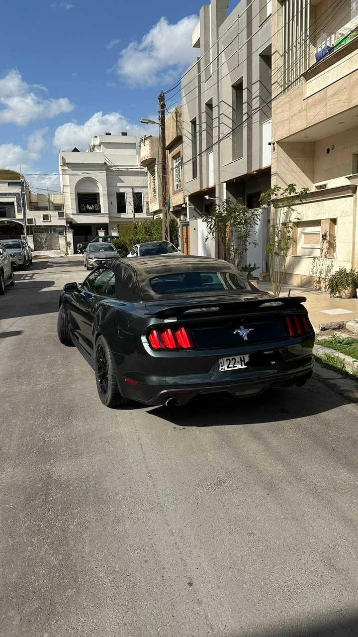 السلام عليكم
*فورد موستنك 2015 كشف 
*محرك v6 3700 
*ماشية 135 ميل
*لون زيتوني طوخ مميز 
*السيارة داخلة كلين وهنا صار بيها جاملغ امامي صبغ وشوية بالبنيد وطخة بالجاملغ الخلفي وكم مكان بارد صورة السونار موجودة 
* رقم اربيل باسمي تحويل بشرط سنوية لحد 2028
*شاشة sync 3 اصلية مال تفصيخ وتحكماتها كلها شغالة مودات القيادة والستيرن 
*عليها منظومة لايت زينون
*جناح شيلبي
*دبل بصمة تشغيل عن بعد 
السيارة نظيفة ومصروف عليها هواي ونصبتها بالحقيقة احلى من الصور  
السعر 150 وبيها مجال 
مكانها بالسيدية 
‏‭***********‬
