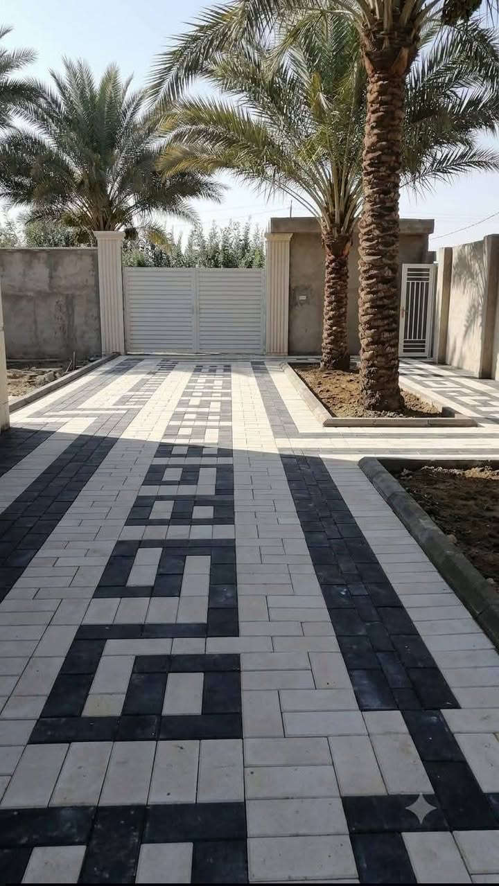 ***********
