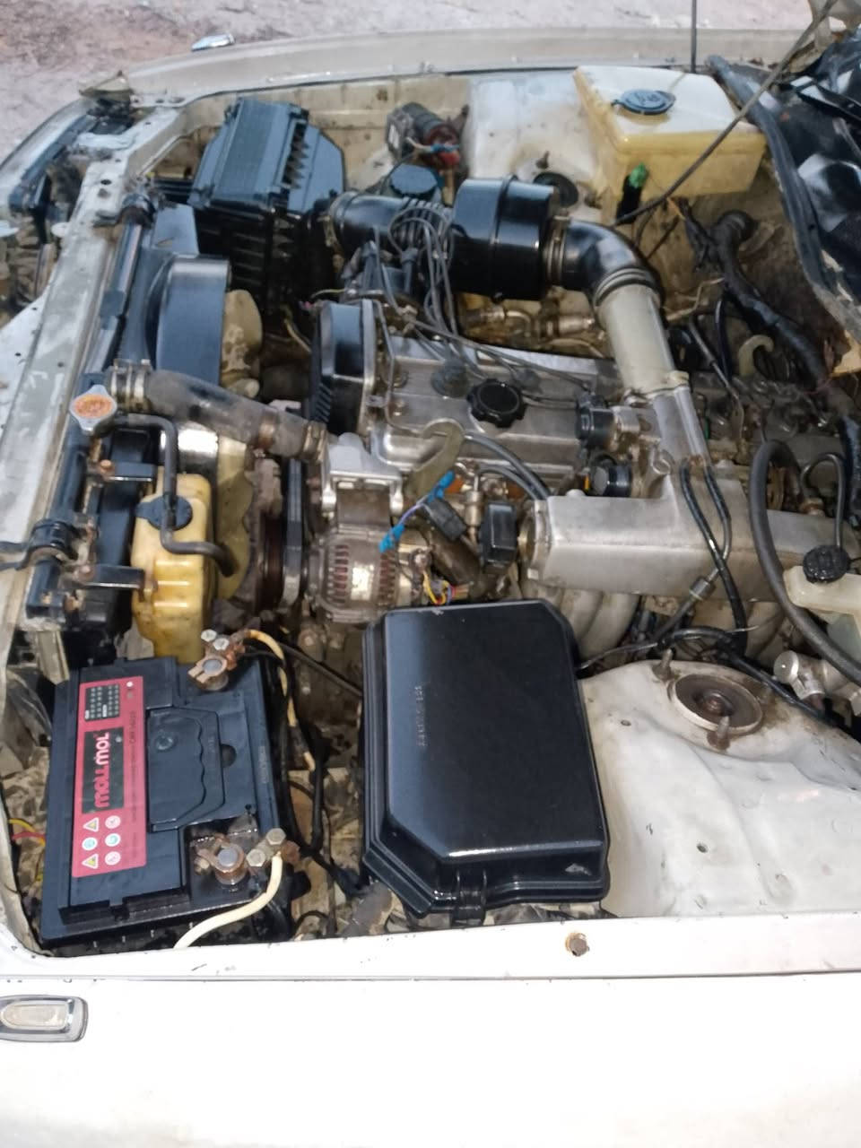 سلام عليكم فقط شراي يتصل وبدون وعود .اقره تفاصيل وتصل ادز فقط صور الك ..كرسته نفخ مكفوله من لكص سياره نقل نقل نقل رقم بصره سنويه منتهيه راعي بلبصره شرط تحول كير مكينه ونجي شرط جدد سياره جاهزه للخير حداده تخم تاير كهربائيات دواخل حلوات سياره بدون ضربه سعر 28 مجال قليل قليل مكاني بصره قرنه *********** فقط شراي يتصل وبخدمته
