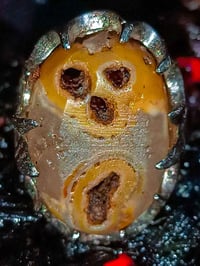 خاتم حجر داودي • ملاكط قديم • روحاني