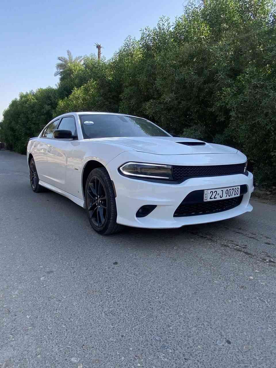 سلام عليكم 
للبيع جارجر (GT)
فول عدا الفتحه 
رادار مري 
تشغيل عن بعد 
شفتات ستيرن 
تحديد مسار 
كسنات حضن 
كشنات تدفئه تبريد 
زنون شمسي  
شاشه كار بلي 
فور ويل 
بدون اي نواقص جاهز من كلشي 
صور الحادث  مرفقه بل منشور 
مكان سياره ديوانيه 
شراي يتصل 
***********
