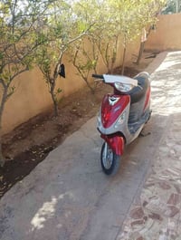 منغولي • للبيع • حله