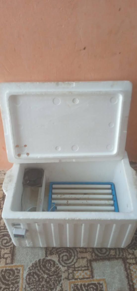 فقاسه اوتماتيك للبيع شيل 60 بيضه ميسان الماجديه سعره 70
اي استفسار تصال ***********
