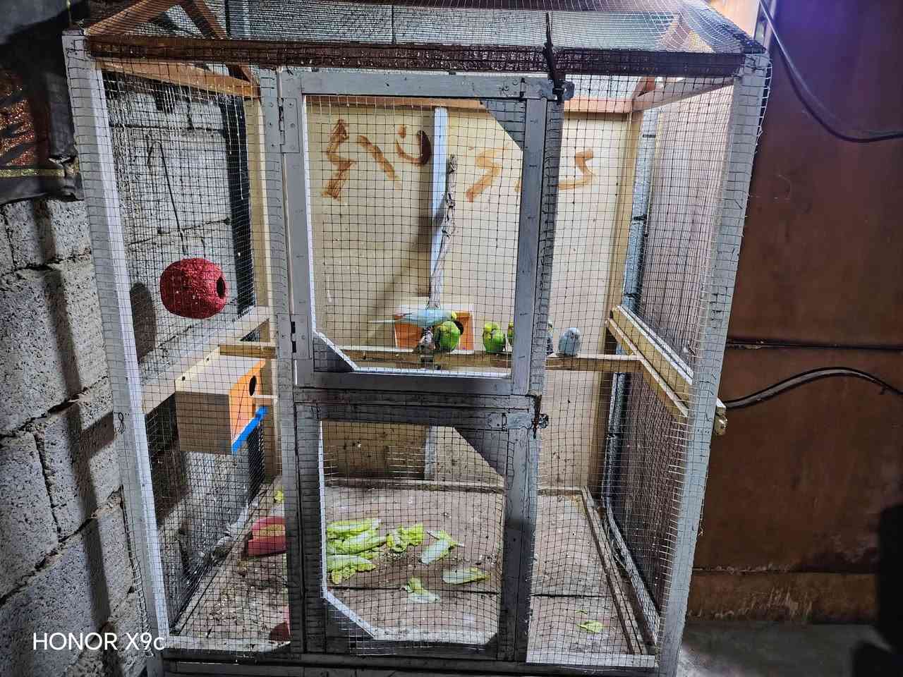 قفص معه 3 زواج بلابل حب و زوج فناجس للبيع سعره ٦٠ وبي مجال قليل ***********مكاني بلد مقابل جملون الجبس
