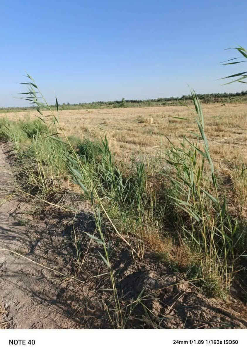 ࡋߺࡋߺࡅٜߺࡅ࡙ߺ𐭦ߺ
5 دونم للبيع سند زراعي 25 يتحول بالطابو كافه الخدمات متوفره ماء نهر يمها وكهرباء شارعها نص ترابي ونص تبليط تبعد عن الشارع العام كيلوين ارض صالحه للزراعه
الموقع حله سياحي قرية كويخات
للاستفسار
***********
***********
