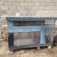 يوجد قفص حديد للبيع نظيف حيلل السعر ١٣٠ الف وبي مجال ‭٠٧٧٢ ٧٨٦ ٩٠٦٥‬