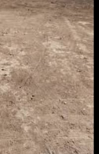 دوانم • شارع النهروان • حي النصر