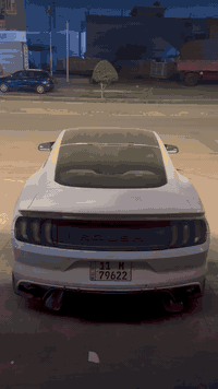 موستنك روش اصل v6 قطعة من اصل 3قطع بالعراق
موديل 2015
ماشية ٧٠ ميل
السيارة بيها قطع رش ابيع حزام
عليها شاشة sync3
عليها سستم انارة دواخل مال مارسيدس
عليها انارة دكتات
عليها انارة متحركة دشبول
عليها انارة بيبان وجوة الدشبول (بريميوم)
عليها هود جيتي ستايل اصلي
عليها منضومة زينون
عليها دركة جديدة مال موديل 23
عليها قبغ مري باتمان
عليها قبضة كَير عادي
عليها لحية روش اصلي
عليها دوسات جانبية روش اصلي
عليها سكوبات جانبية روش اصلي
عليها سكوبات جاملغ روش اصلي
عليها سبايدر روش اصلي
عليها دفيوزر هينسي 3 قطع هو واضافيتة عليها لحية سيرفيني
عليها اوركل لد لون احمر
عليها شفتات ستيرن كاربون فورجيد
عليها بك لايت سموك اصلي مال موديل22
عليها شبابيك C.S
عليها مازدات هينسي اصليات
عليها تخم تاير بيرلي رن فلات اصلي
عليها تخم ويالة مالموديل 24 تو سايز حجم 20
التزويد الي عليها
اكس بايب روش
داون بايب روش
دبات روش
بوابات تحكم شغل علي الوادي
هدرز لونك تيوب روش
اكسل تراك بكج 3.55
عليها برمجة طلال مركز فوربرذر
عليها منضمومة تبريد جديدة بالكامل
عليها ادامة كاملة للمحرك بلكات ريسنك 
عليها طلقات وكتوف
عليها ادامة لمنضومة المي جديدة
السيارة هزة جديدة ورقم جديد
باسمي تحويل ثاني يوم
سيارة اي نقص مابيهة 
السعر 135 وبيه مجال بسيط 
رقم ***********
