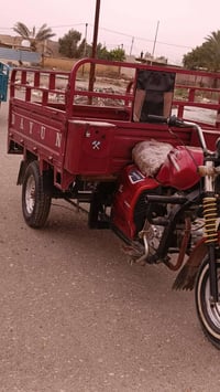 ستوته • دايون • فلكت سلمان